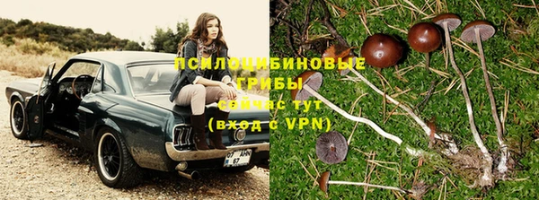соль ск Бугульма