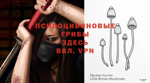 Альфа ПВП Нея