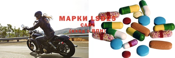 индика Верхний Тагил