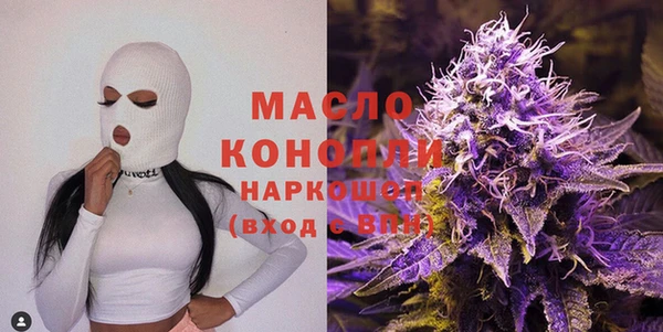 индика Верхний Тагил