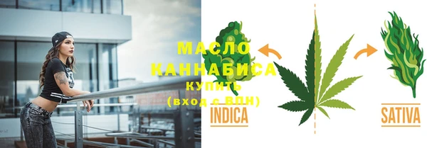 индика Верхний Тагил