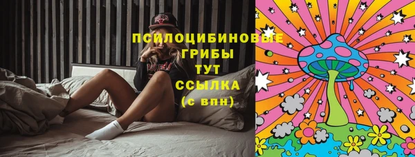 МДМА Бородино