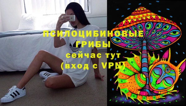 apvp Верея