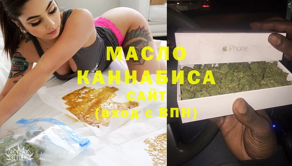 индика Верхний Тагил