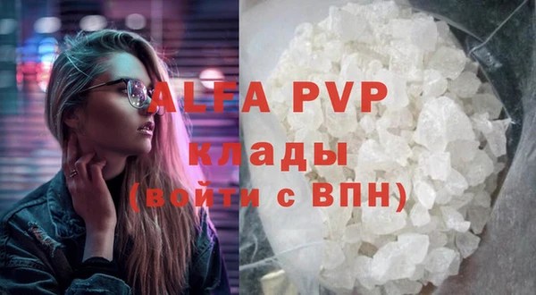 индика Верхний Тагил