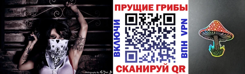 Псилоцибиновые грибы MAGIC MUSHROOMS  Гай 